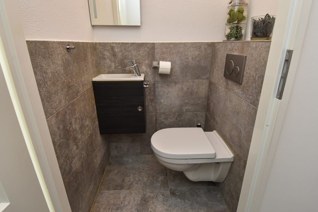 Foto 13 van Gele Kwikstaartlande 7