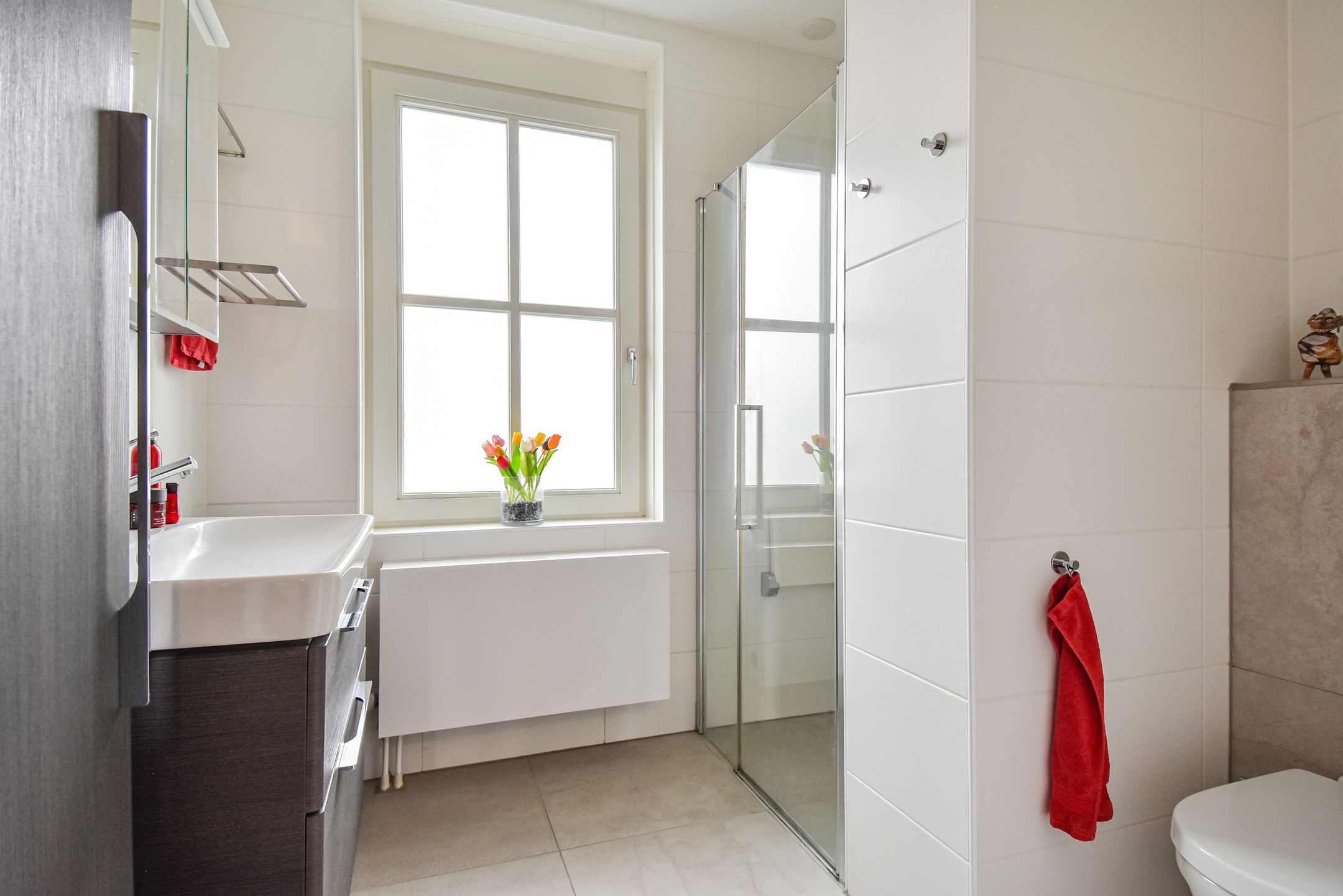 Foto 18 van Gele Kwikstaartlande 7