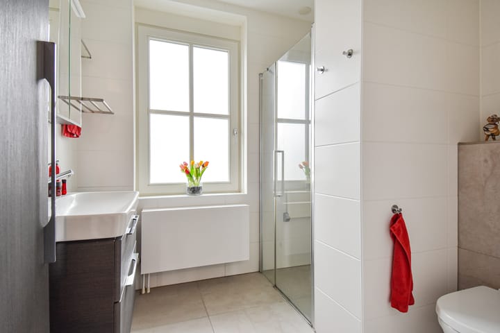 Photo 18 of Gele Kwikstaartlande 7