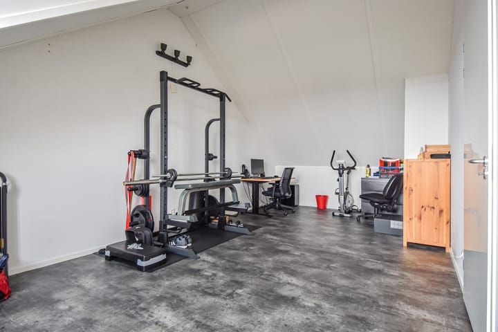 Photo 19 of Gele Kwikstaartlande 7