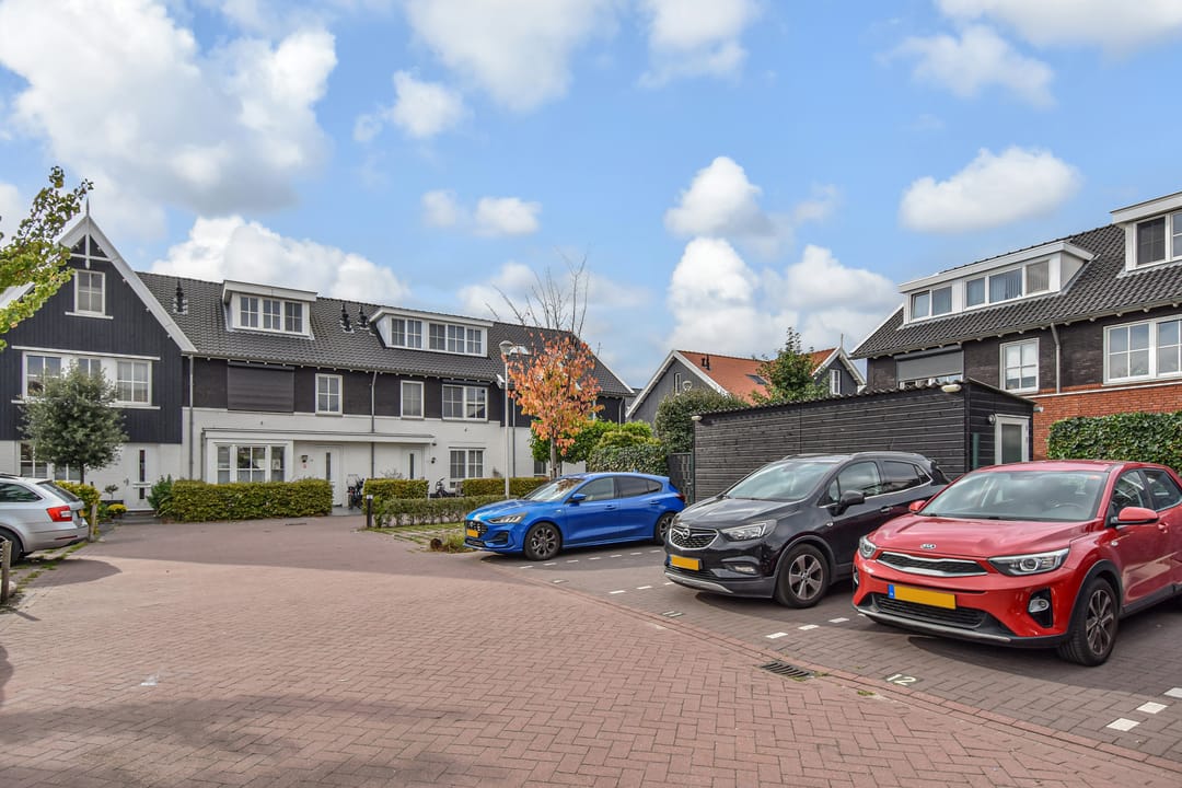 Foto 22 van Gele Kwikstaartlande 7