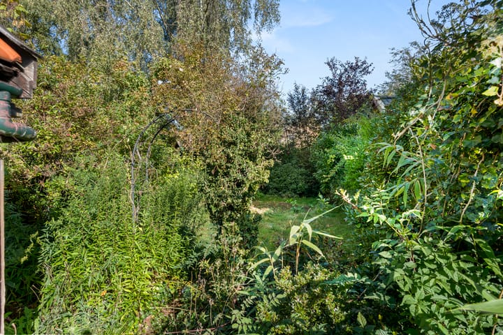 Foto 10 van Algemeer 43