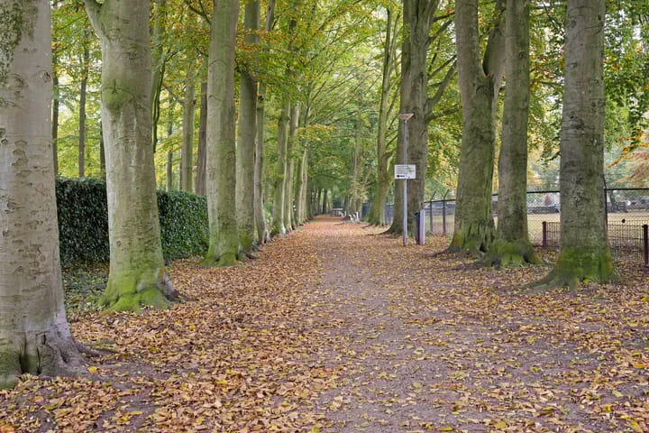 Foto 34 van Dikkerslaan 14