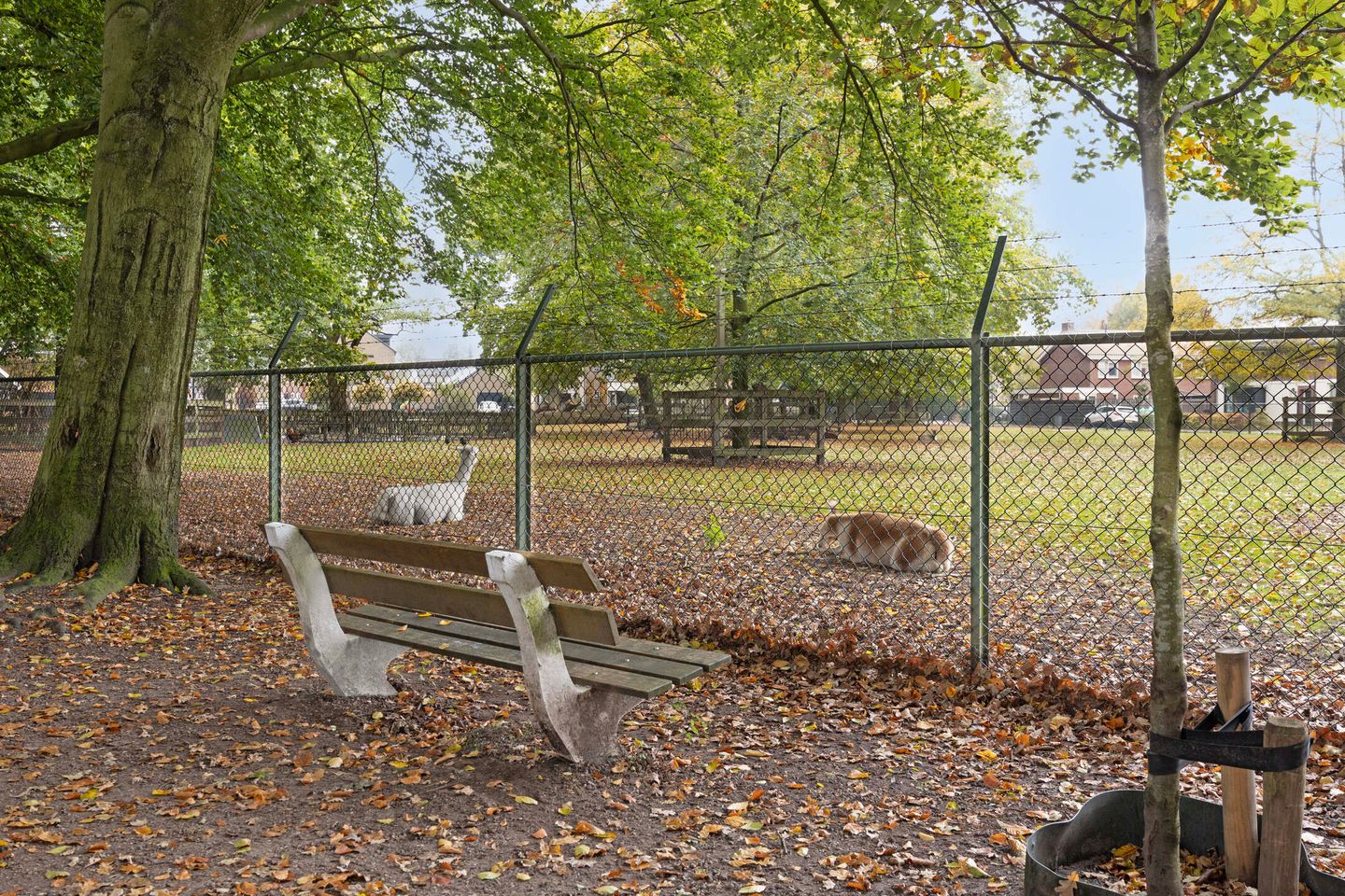 Foto 35 van Dikkerslaan 14