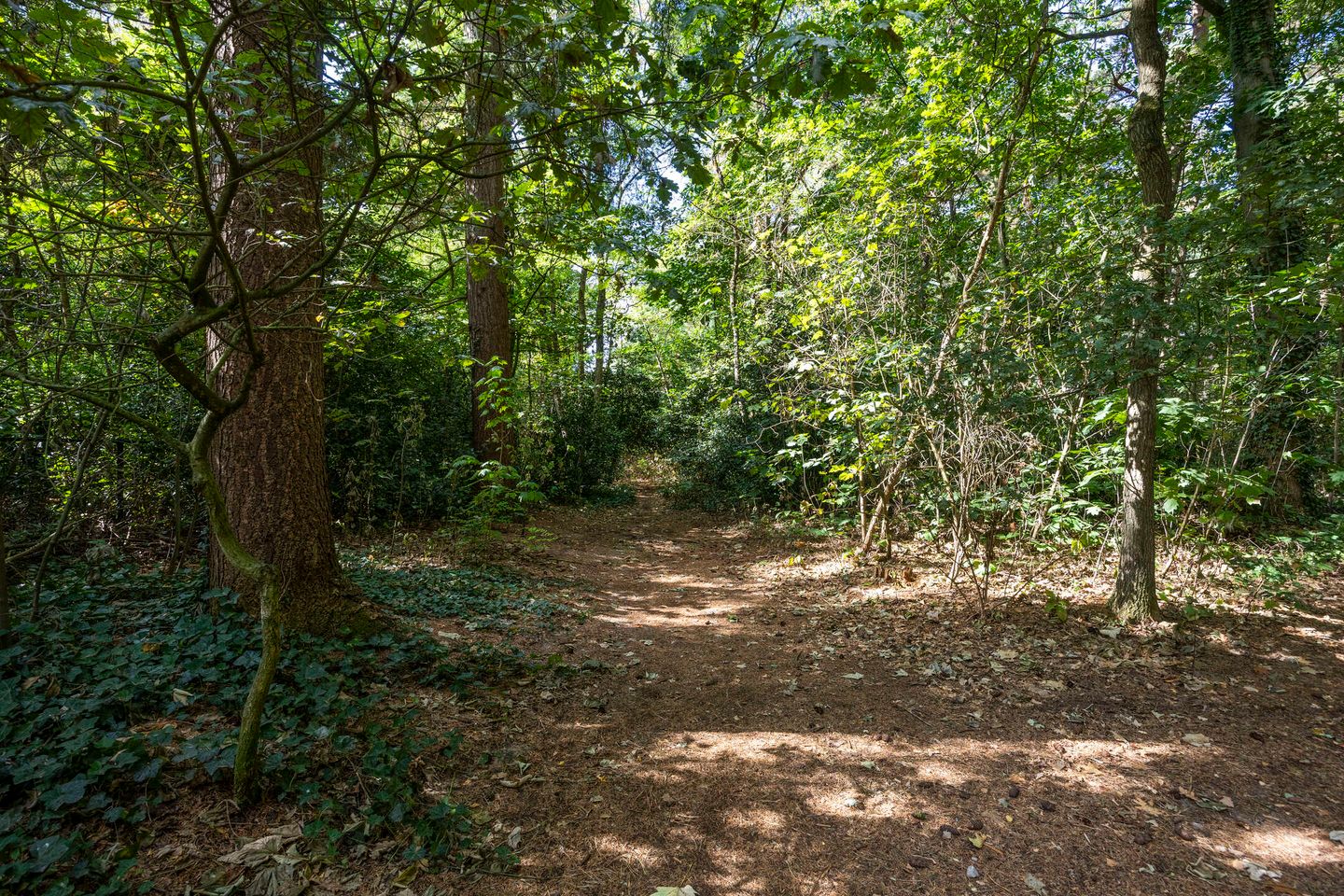 Foto 29 van Lijsterbesdreef 27