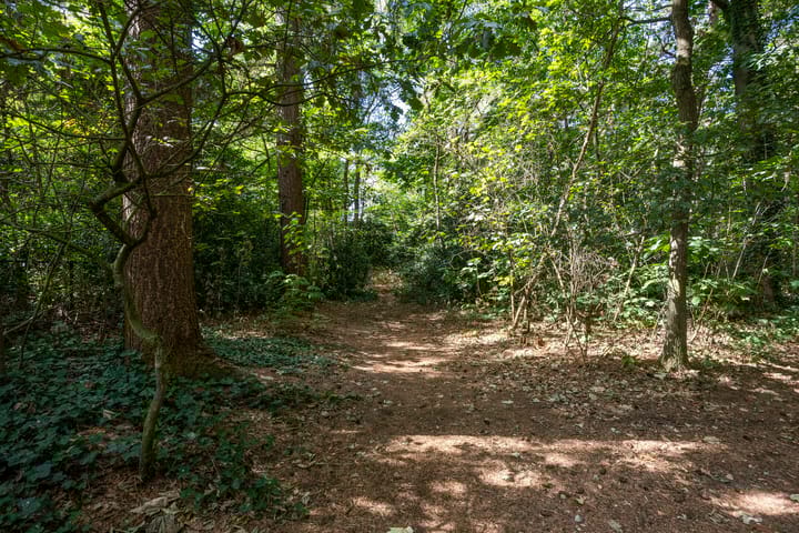 Photo 29 of Lijsterbesdreef 27