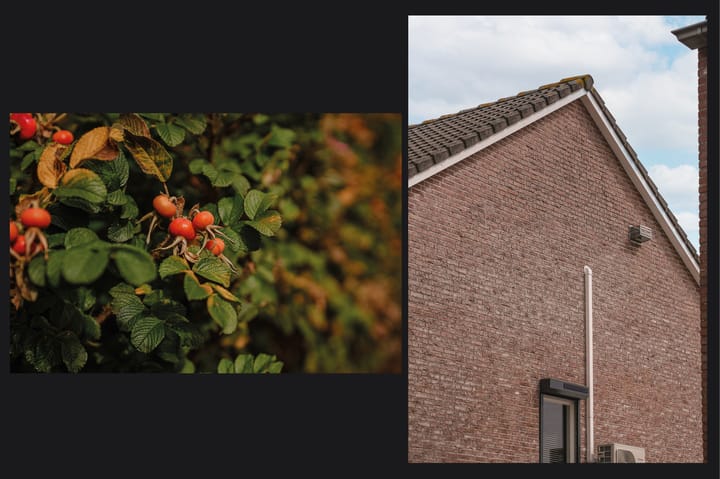 Foto 43 van de Geren 3