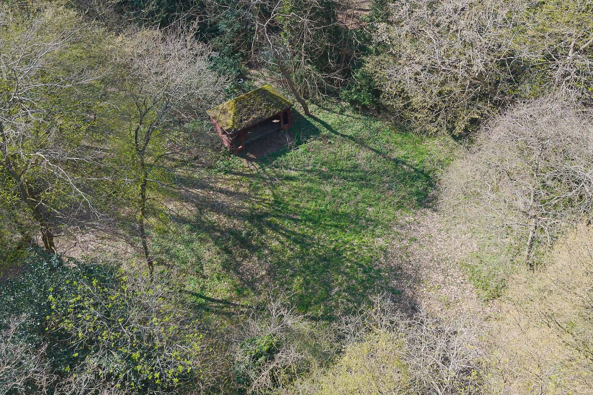 Foto 6 van Oud Clingendaal 7-A