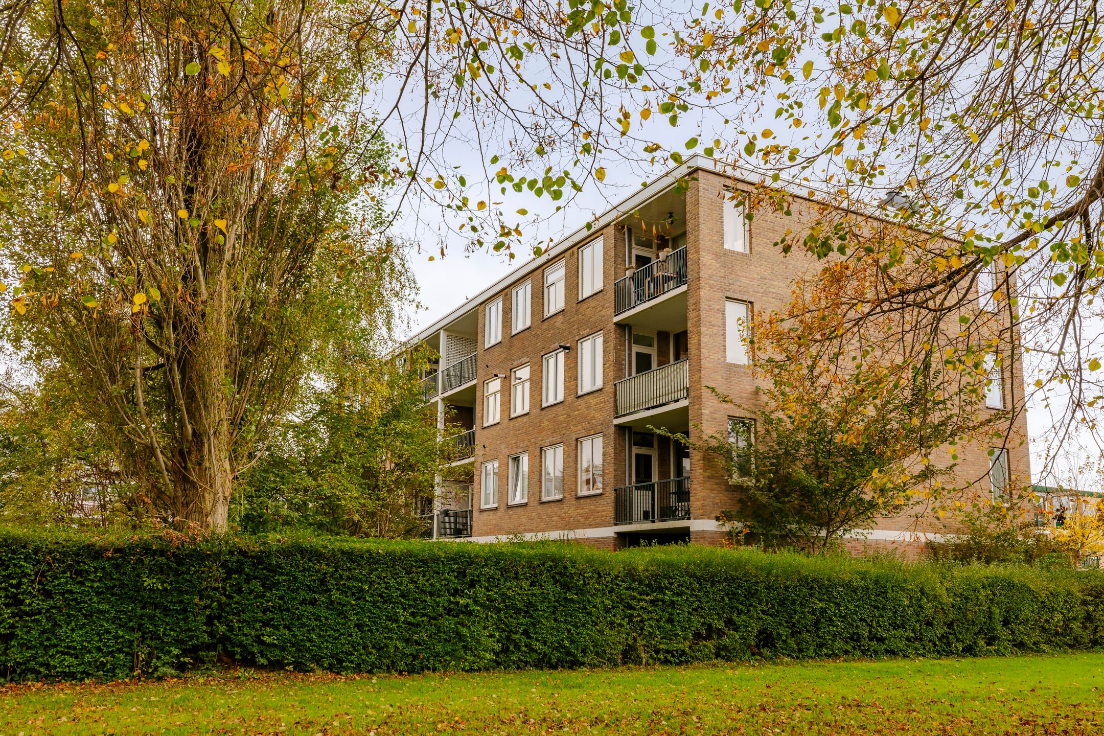 Foto 33 van Van Collemstraat 26-I