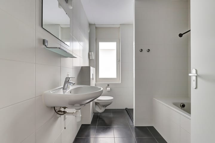 Foto 21 van De Dorsvlegel 23