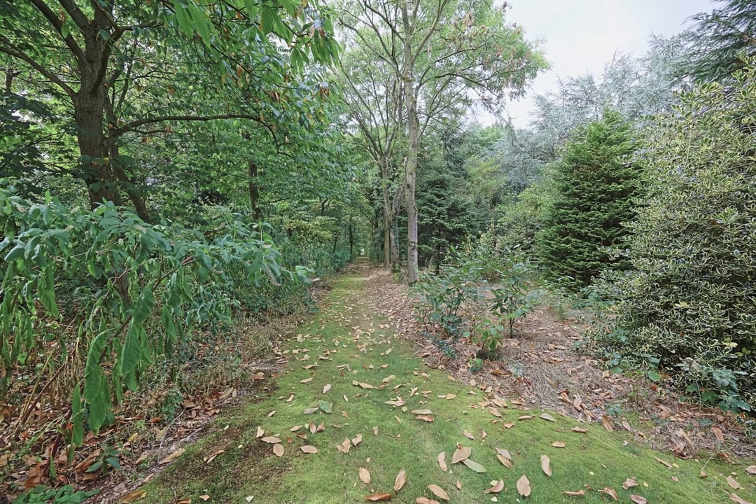 Foto 62 van Beekweg 69