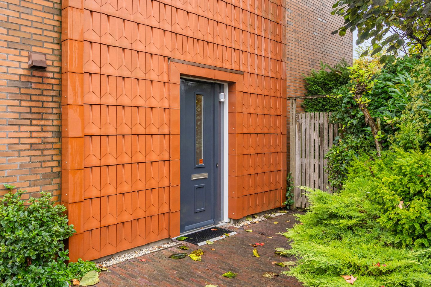 Foto 4 van Schoenlappervlinder 36