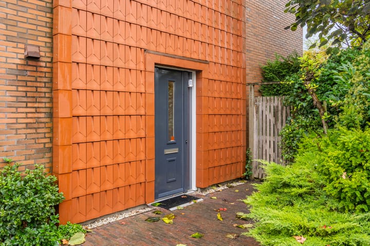 Foto 4 van Schoenlappervlinder 36