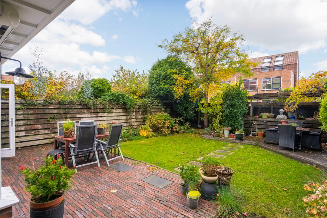 Foto 8 van Schoenlappervlinder 36