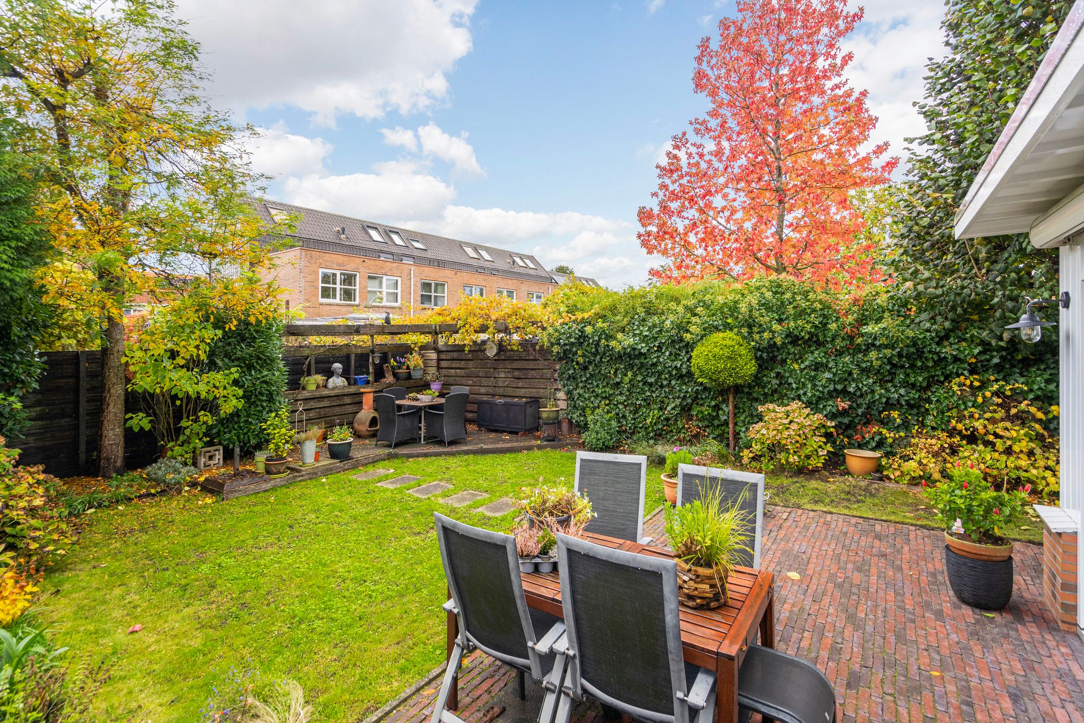 Foto 9 van Schoenlappervlinder 36