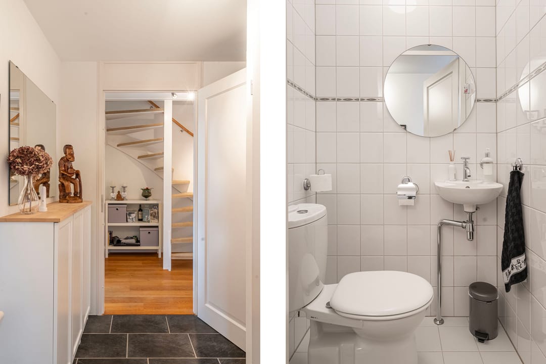 Foto 17 van Schoenlappervlinder 36