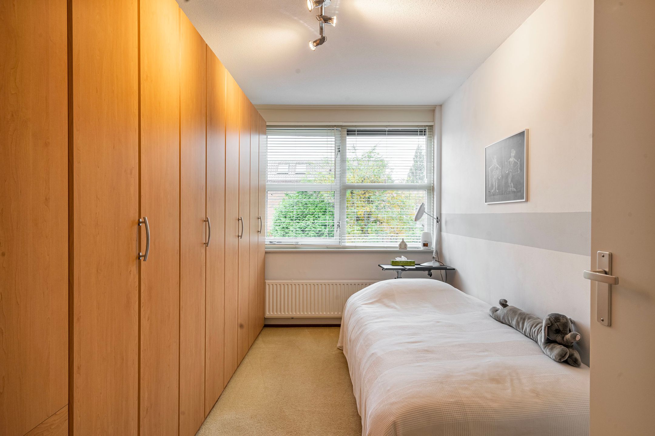 Foto 18 van Schoenlappervlinder 36