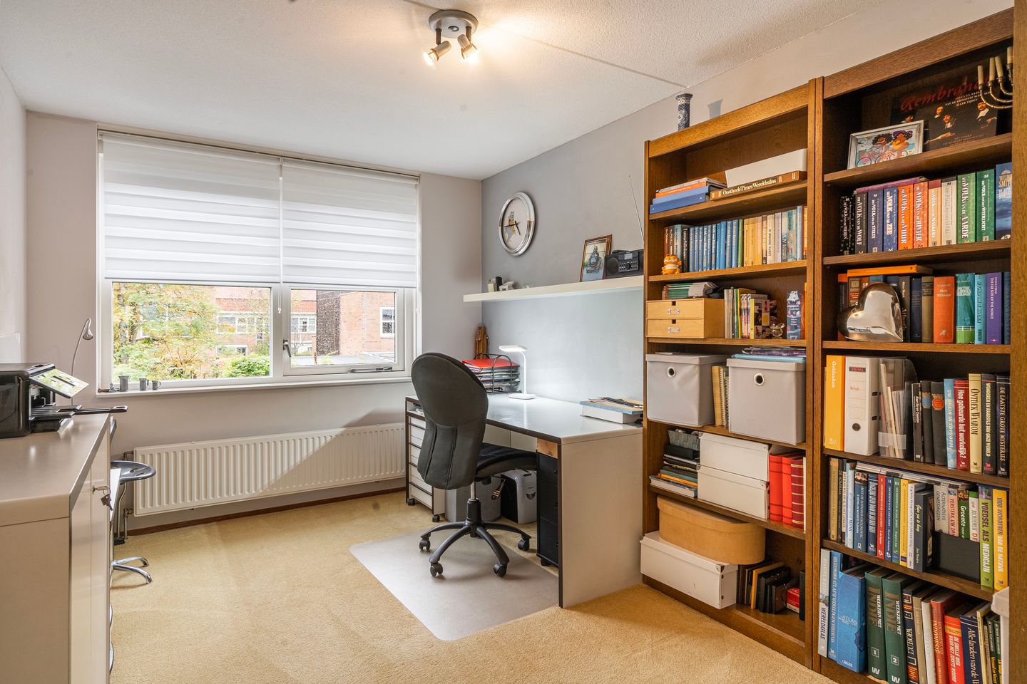 Foto 19 van Schoenlappervlinder 36