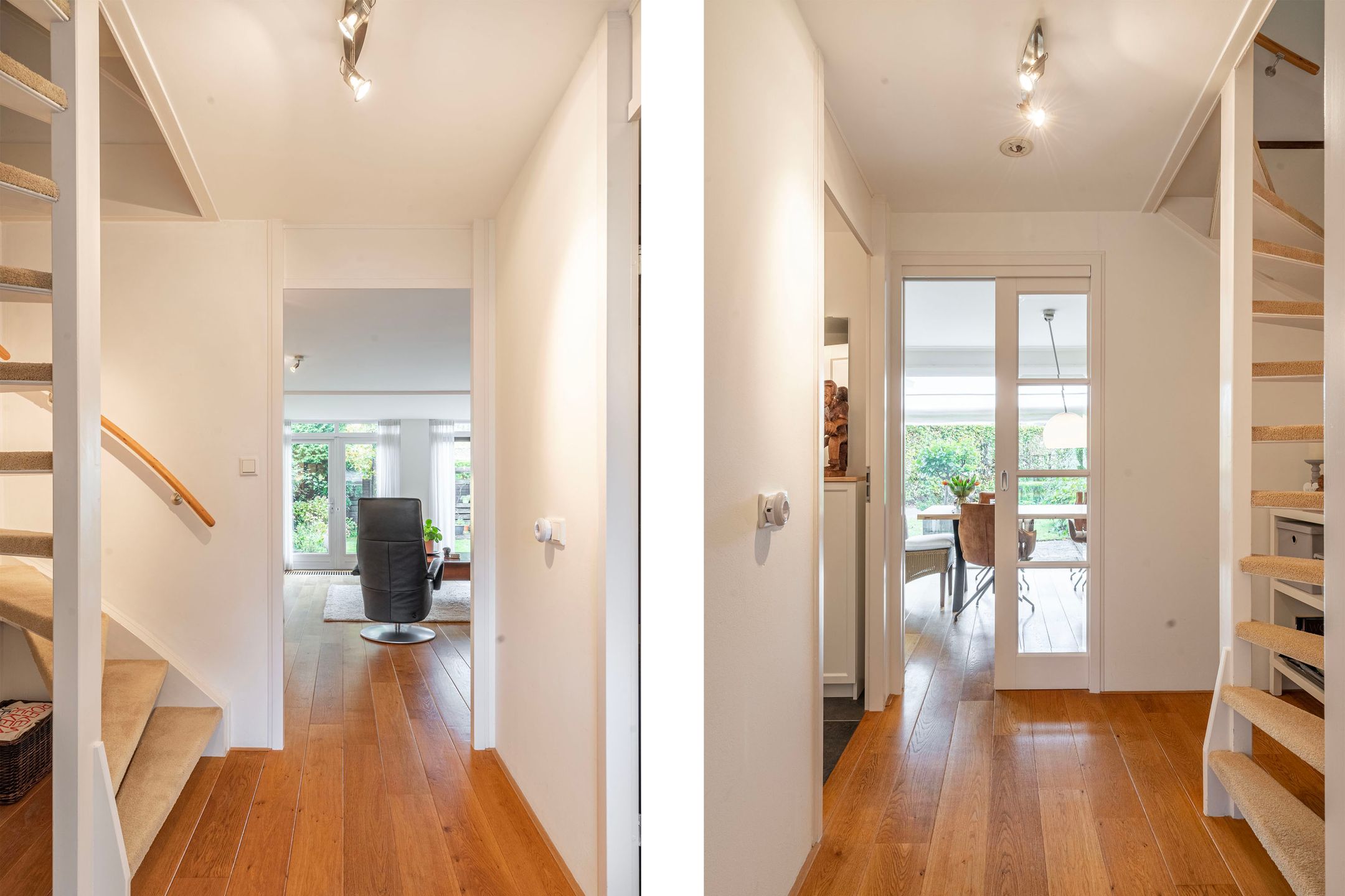 Foto 24 van Schoenlappervlinder 36