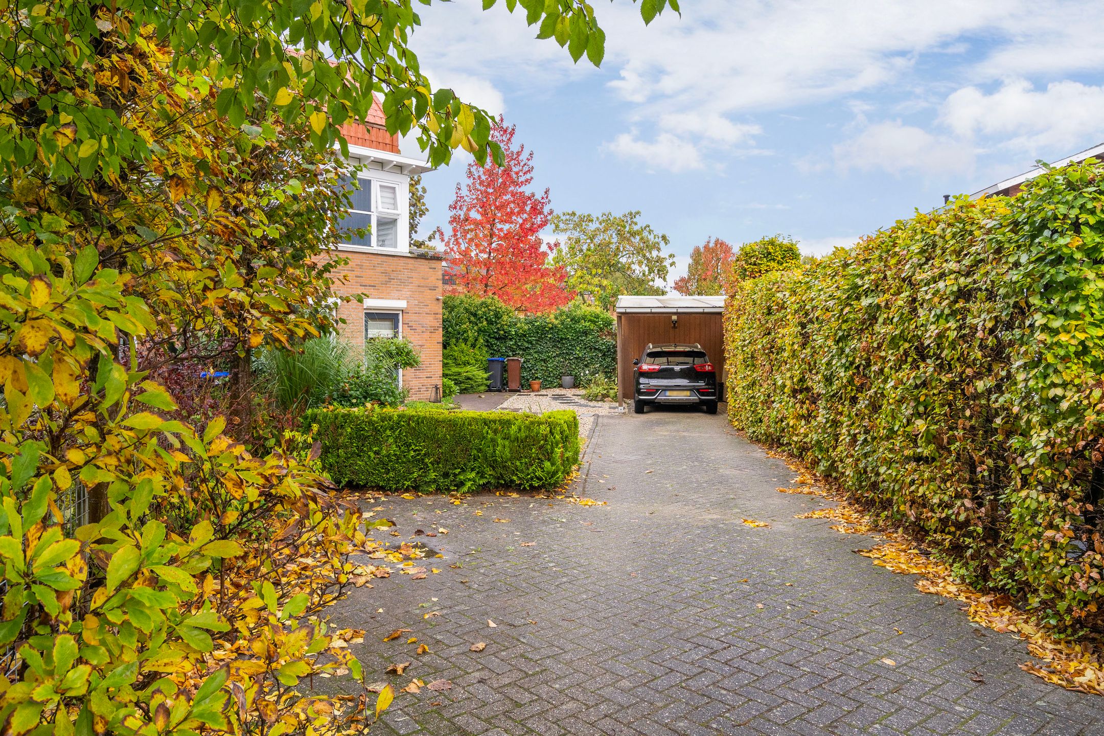 Foto 27 van Schoenlappervlinder 36