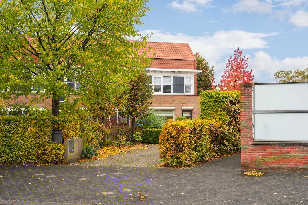 Foto 28 van Schoenlappervlinder 36