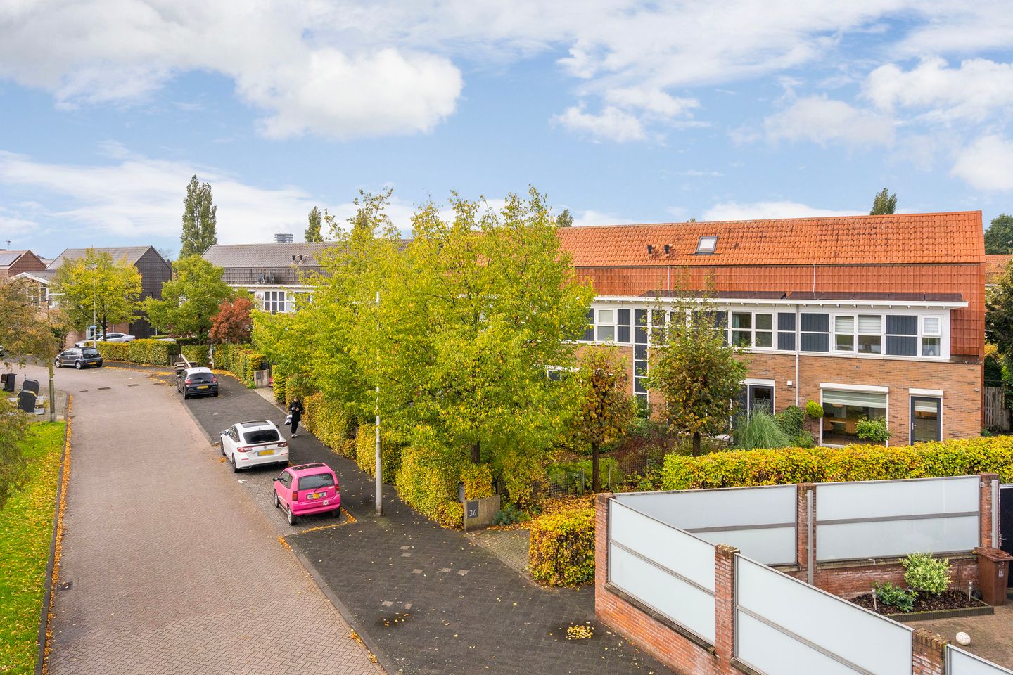 Foto 29 van Schoenlappervlinder 36