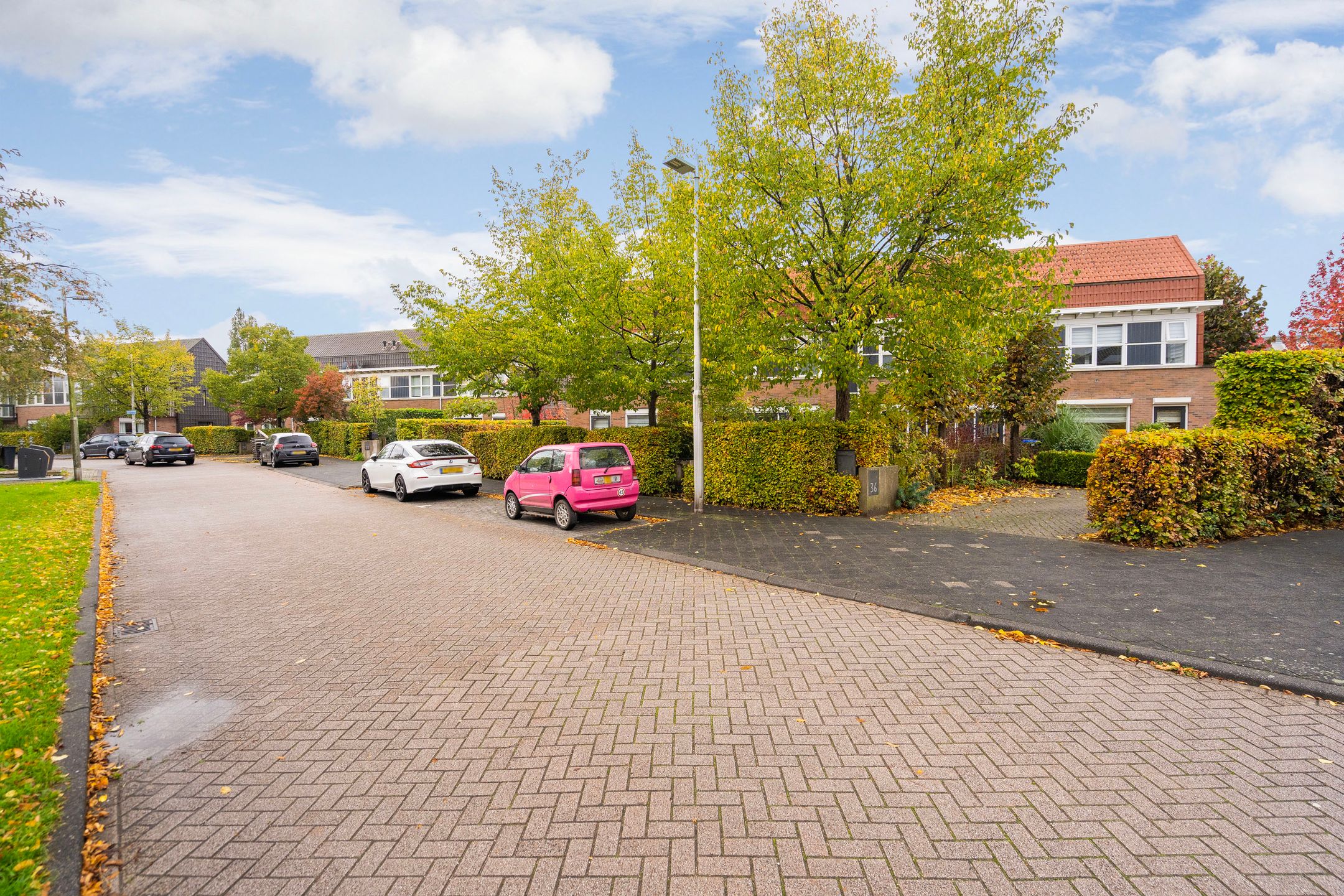 Foto 30 van Schoenlappervlinder 36