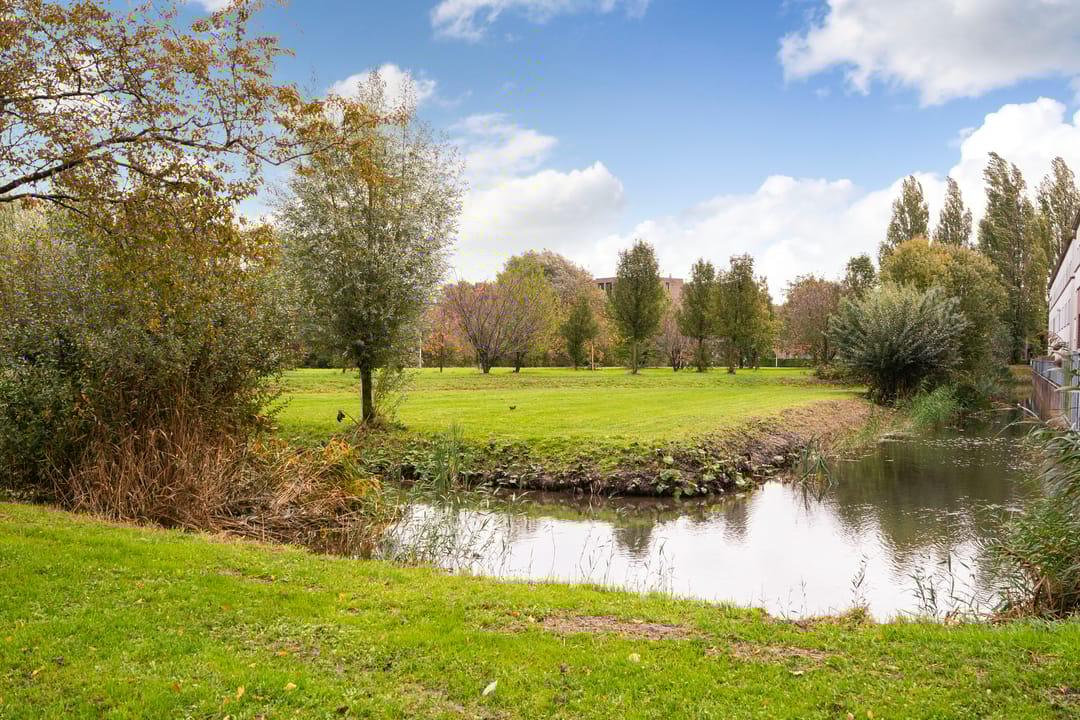 Foto 31 van Schoenlappervlinder 36