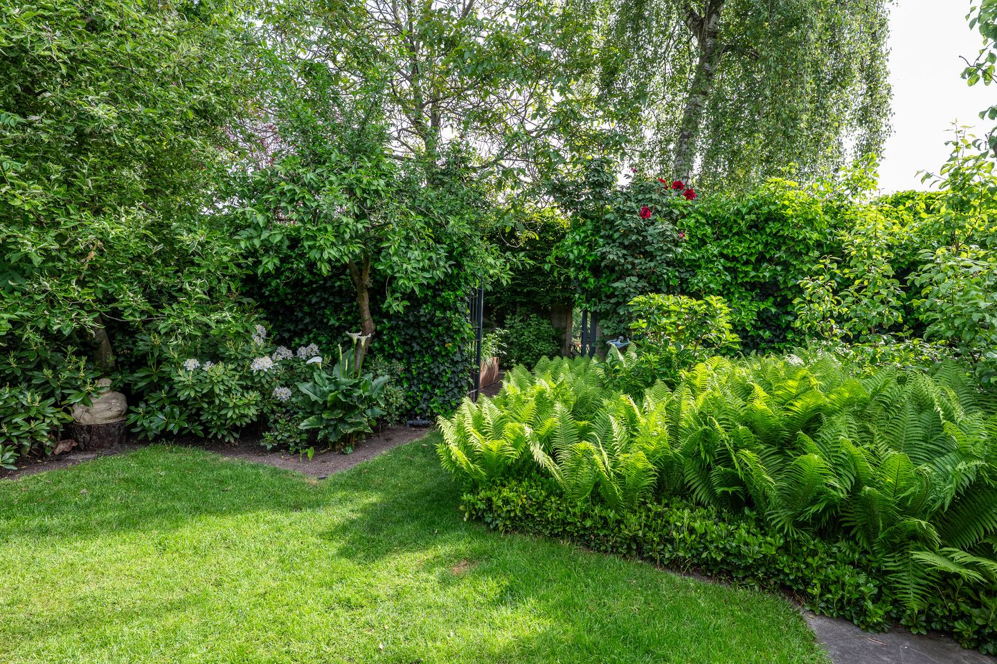 Foto 19 van Land van Ravensteinstraat 54