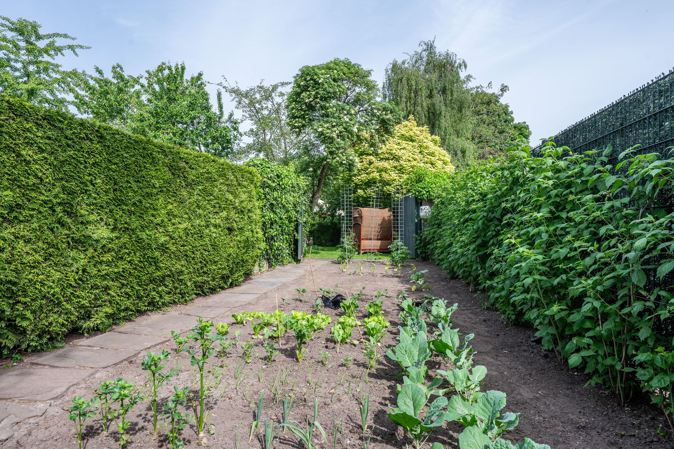 Foto 21 van Land van Ravensteinstraat 54