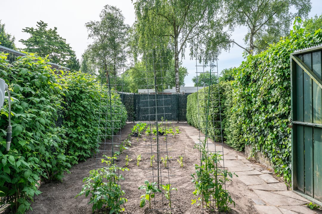 Foto 22 van Land van Ravensteinstraat 54