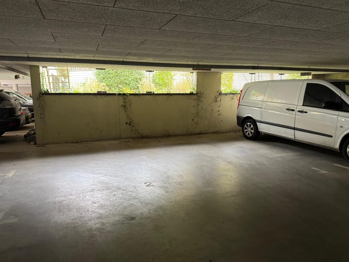 Foto 6 van Hoornwerk