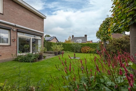 De Hoof 1 secondary image