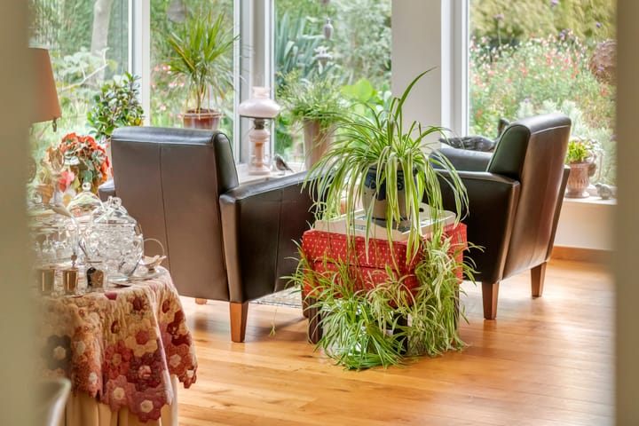 Foto 15 van Brederode 12