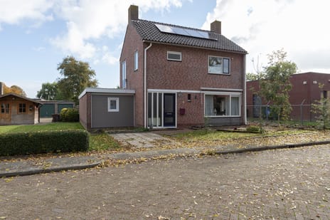 undefined main image