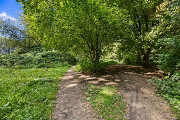 Photo 59 of Plevierdonk 21