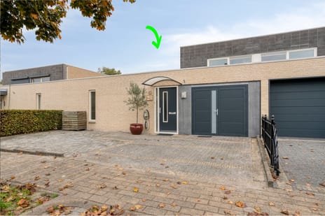 undefined main image