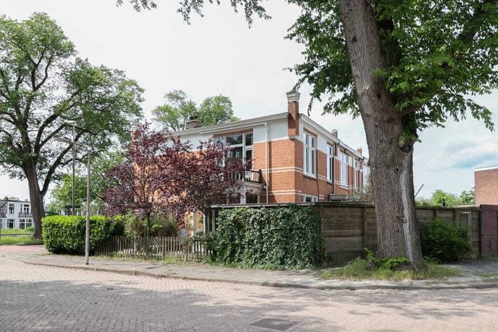 Photo 11 of Willem Lodewijkstraat 131