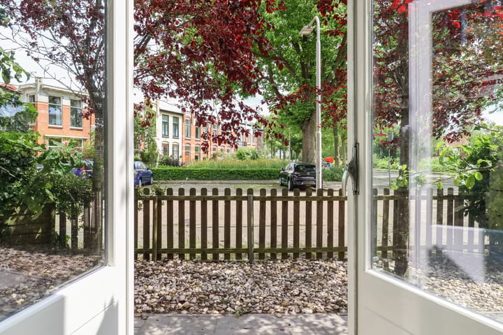 Photo 36 of Willem Lodewijkstraat 131