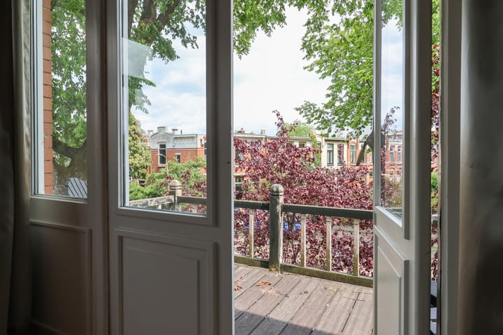 Photo 50 of Willem Lodewijkstraat 131