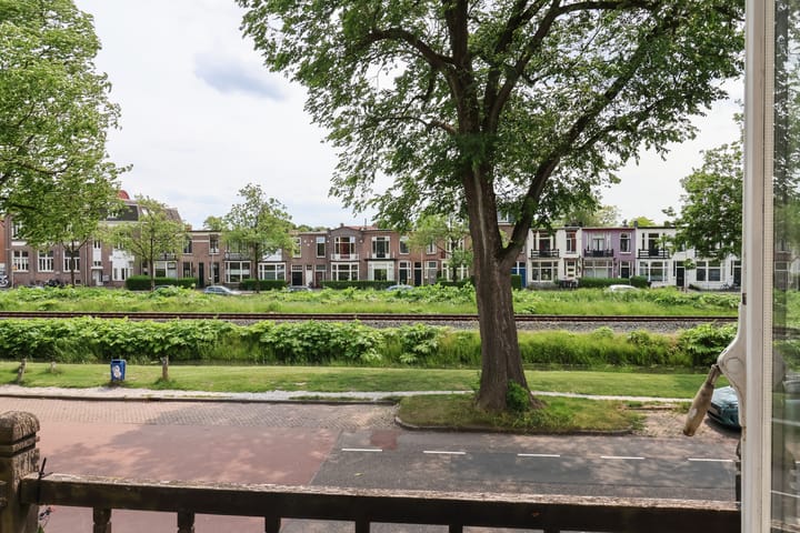 Photo 60 of Willem Lodewijkstraat 131