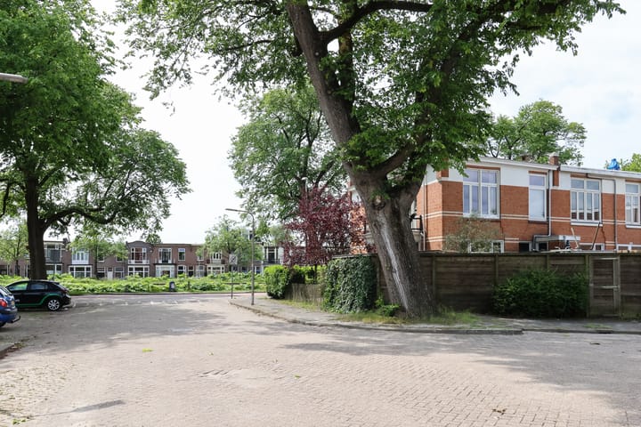 Photo 72 of Willem Lodewijkstraat 131