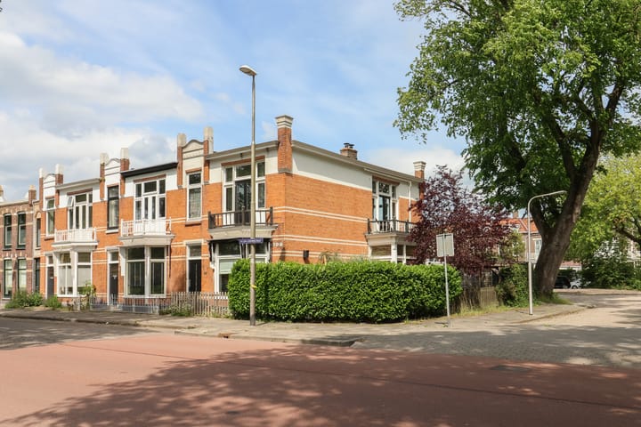 Photo 73 of Willem Lodewijkstraat 131