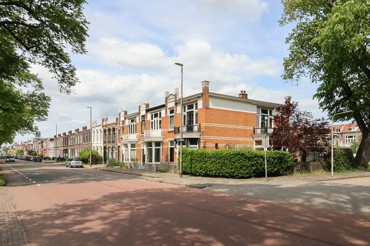 Photo 74 of Willem Lodewijkstraat 131
