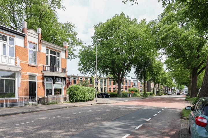 Photo 75 of Willem Lodewijkstraat 131