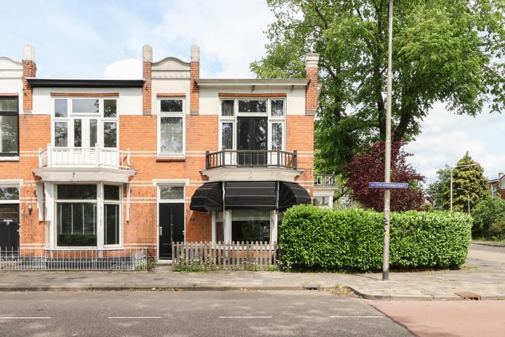 Photo 76 of Willem Lodewijkstraat 131