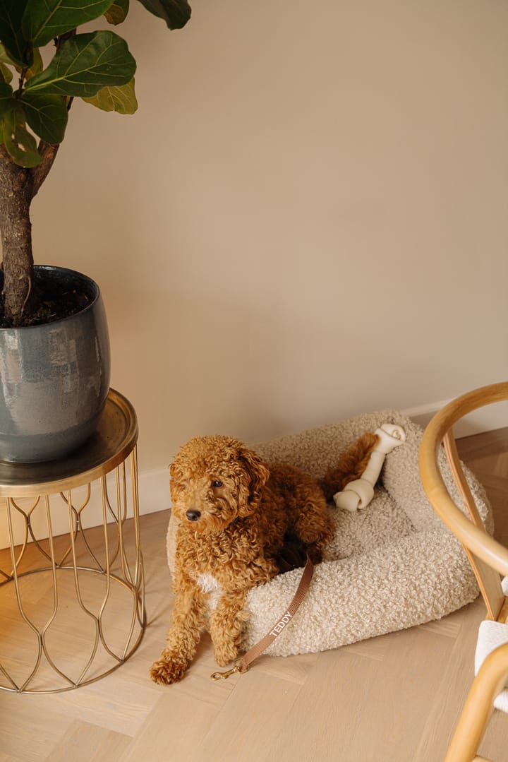 Foto 12 van Kanaalstraat 39-1