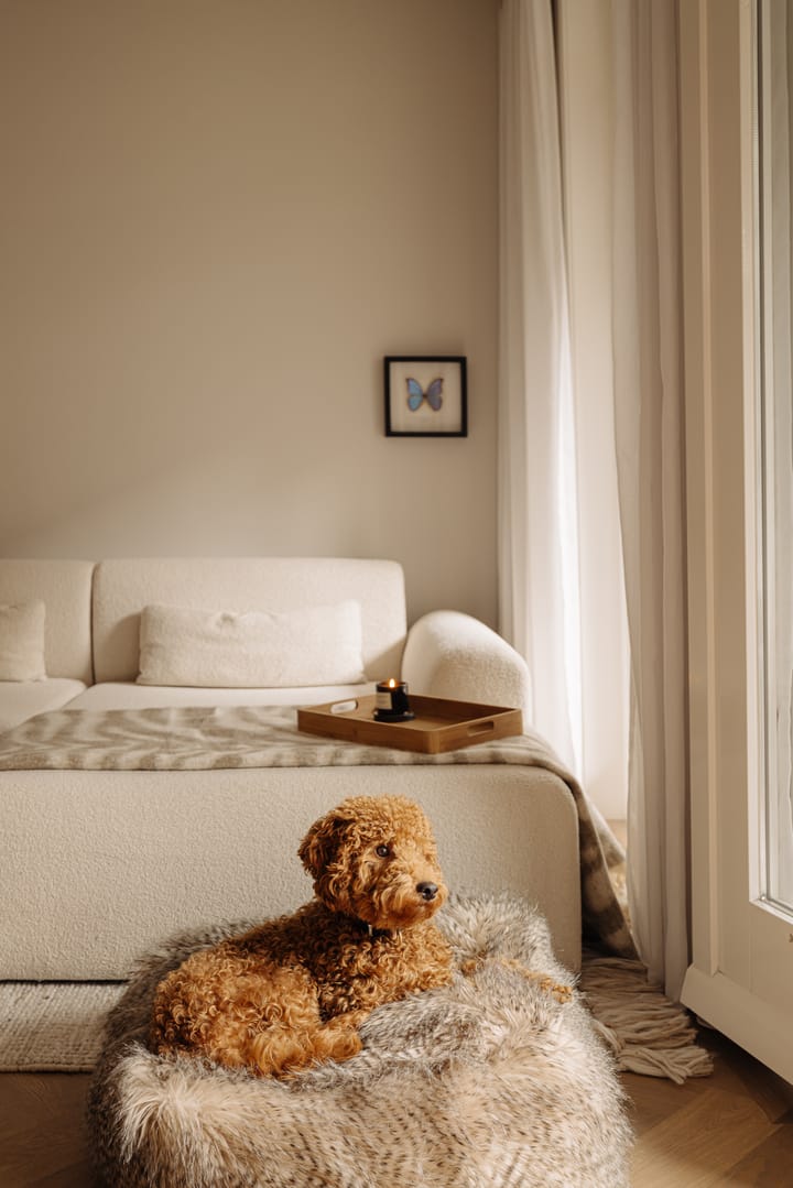 Foto 6 van Kanaalstraat 39-1