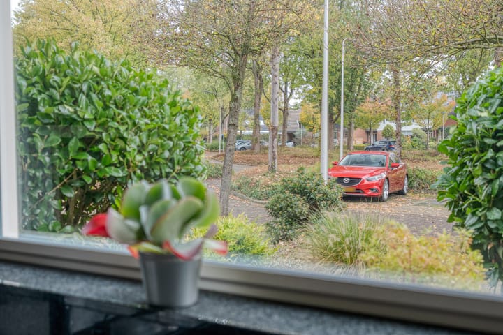 Foto 14 van Rijnlaan 259