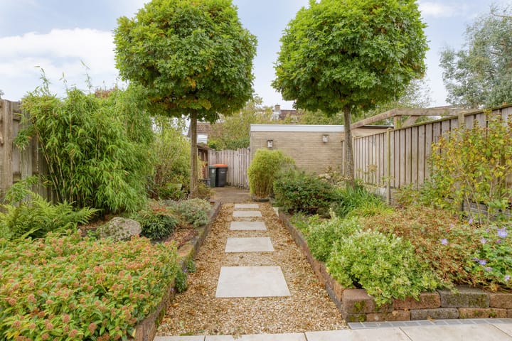 Foto 28 van Rijnlaan 259